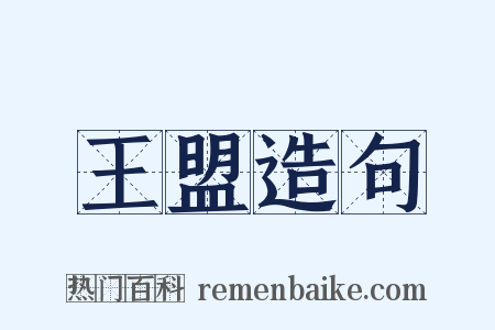 王盟造句是什么意思的图片